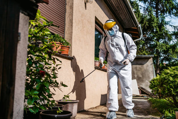 Best Termite Control Services  in Chester, WV