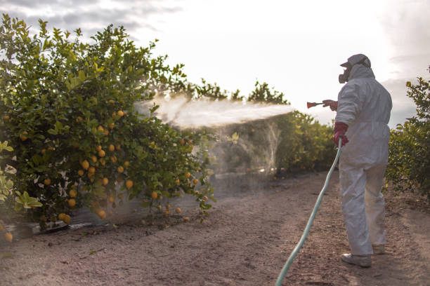 Pest Control for Restaurants in Chester, WV