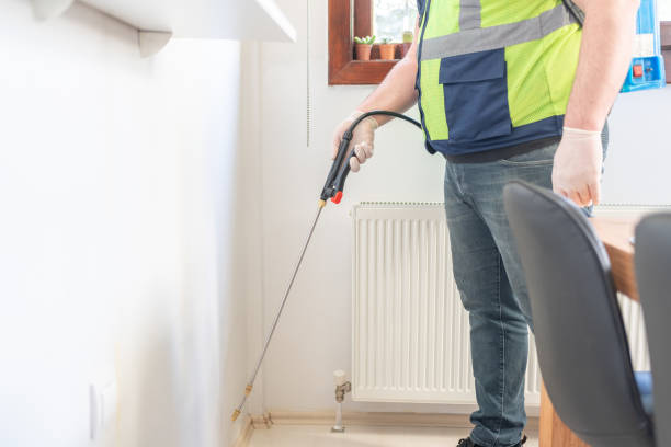 Best Affordable Pest Control Services  in Chester, WV