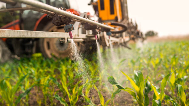 Best Mosquito Control Services  in Chester, WV